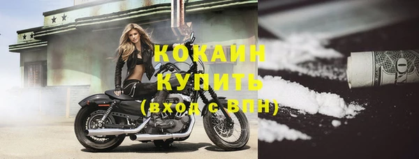 твердый Туринск