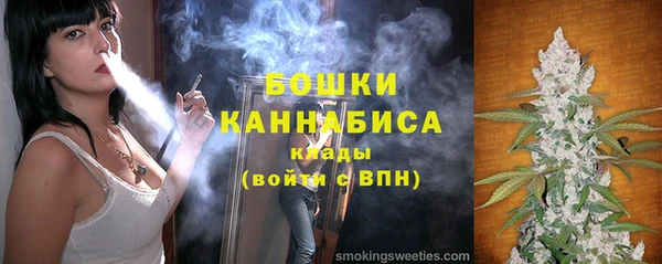 СК Дмитровск