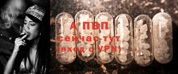 дурь Дмитров