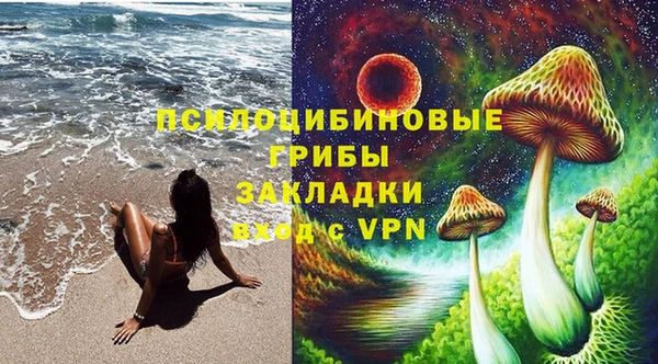 мяу мяу мука Гусев