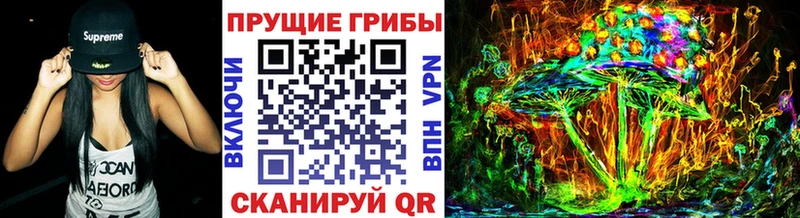 Псилоцибиновые грибы Magic Shrooms  Купить где  Зверево 